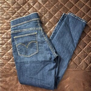 Classic Blue Denim Jeggins